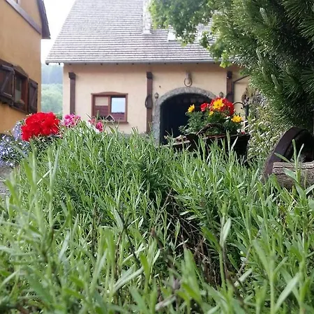 Agro-podkówka * Marciszow