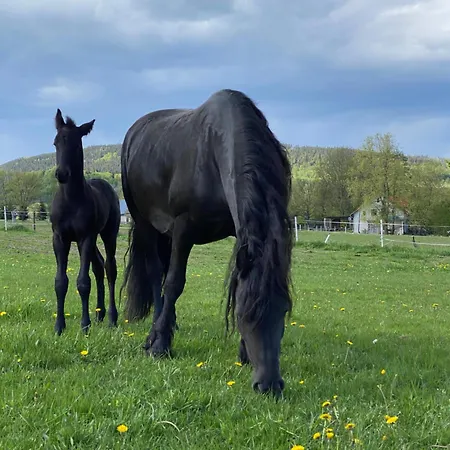 Séjour à la ferme Agro-podkowka