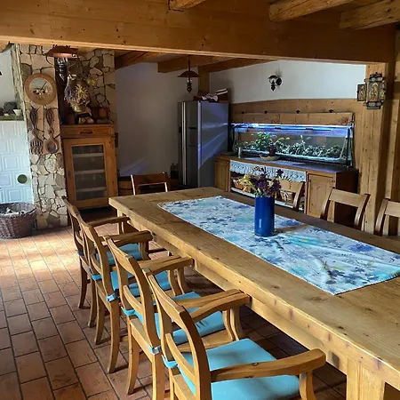 Agro-podkówka Marciszow