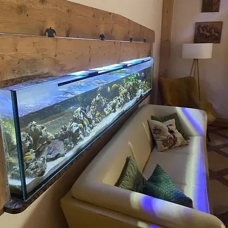 Agro-podkowka Farma Marciszow