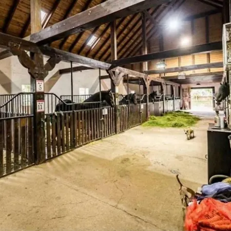 Agroturismo Agro-podkówka