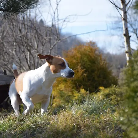 Agro-podkówka Marciszow