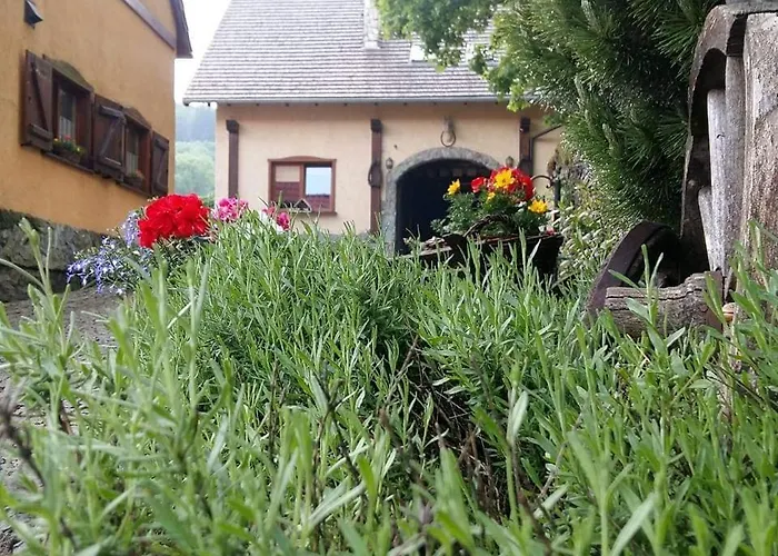 Agro-podkówka * Marciszow