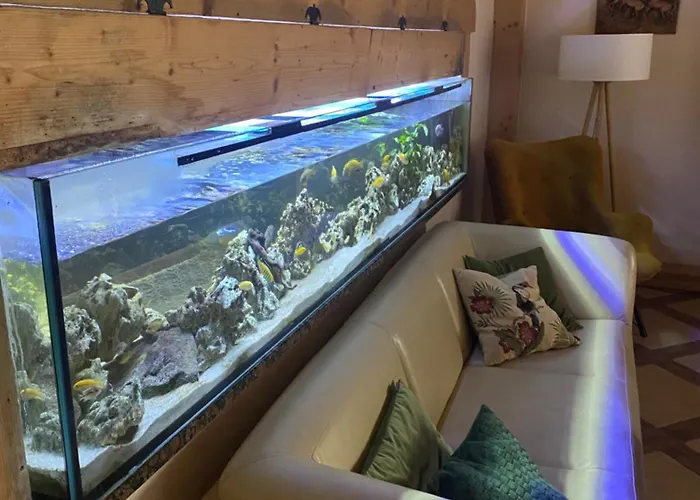 Agro-podkówka Gospodarstwo agroturystyczne Marciszow