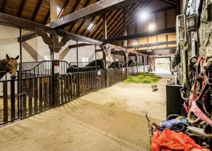 Bauernhof Agro-podkowka