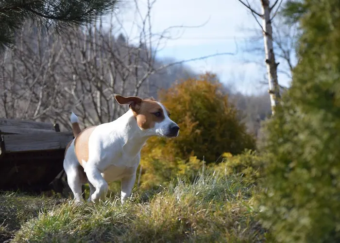 Agro-podkowka Marciszow